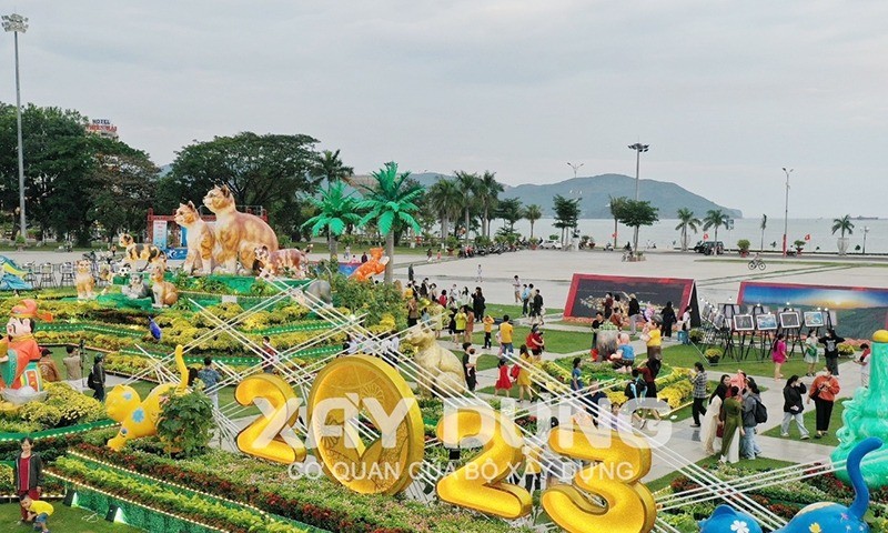 Bình Định: Gia đình nhà mèo du xuân đón tết