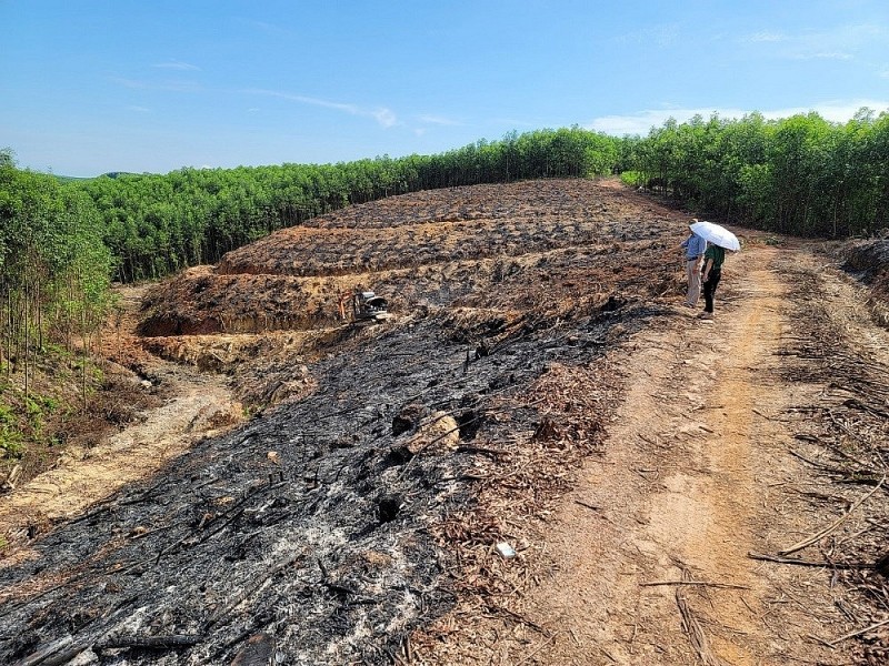 Nghệ An: Phê duyệt tiền đặt trước đấu giá quyền khai thác khoáng sản đối với 30 khu vực mỏ