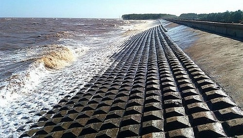 ĐBSCL không lùi bước trước biển dâng