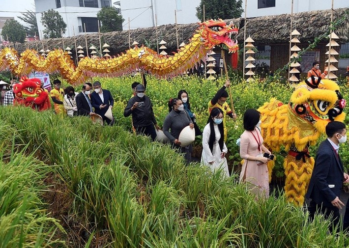 Tết việt giàu bản sắc tại đường hoa Home Hanoi Xuan 2022