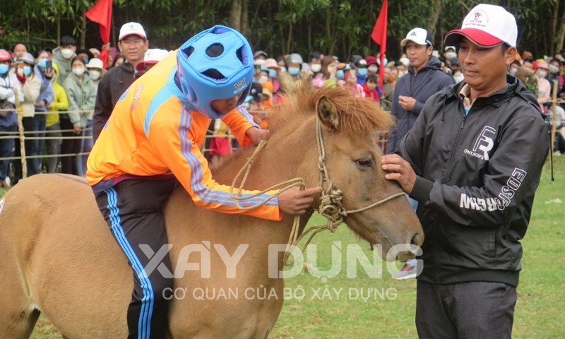 Phú Yên: Sôi động và hấp dẫn Lễ hội đua ngựa Gò Thì Thùng