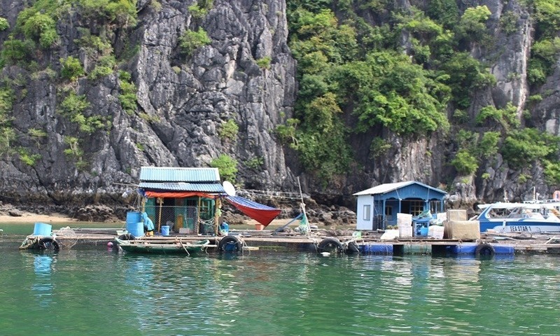 Hải Phòng: Hoàn thành việc tháo dỡ lồng bè trên các vịnh thuộc quần đảo Cát Bà trước ngày 01/7/2023