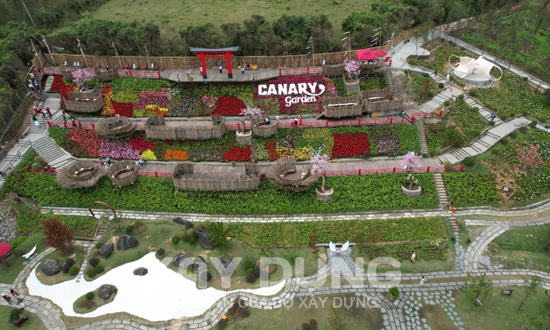 Phú Yên: Quán cà phê Canary Garden bị “tuýt còi” dừng hoạt động nhưng vẫn ngang nhiên đón khách