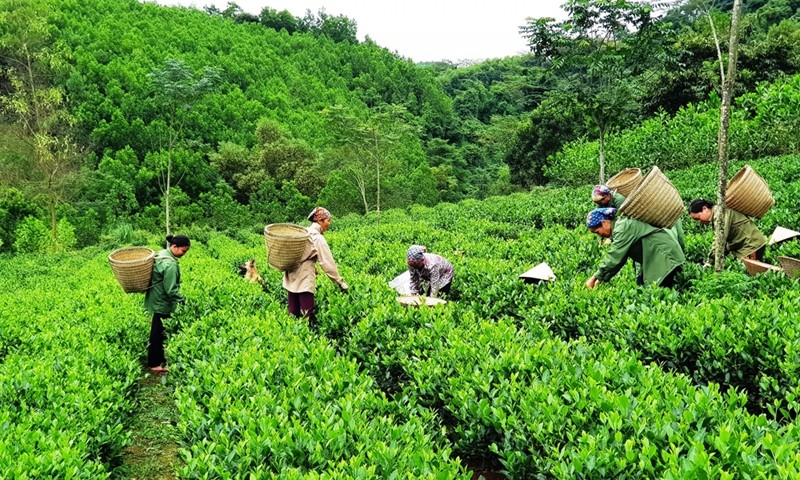 Bắc Kạn phát triển kinh tế theo hướng xanh và năng động