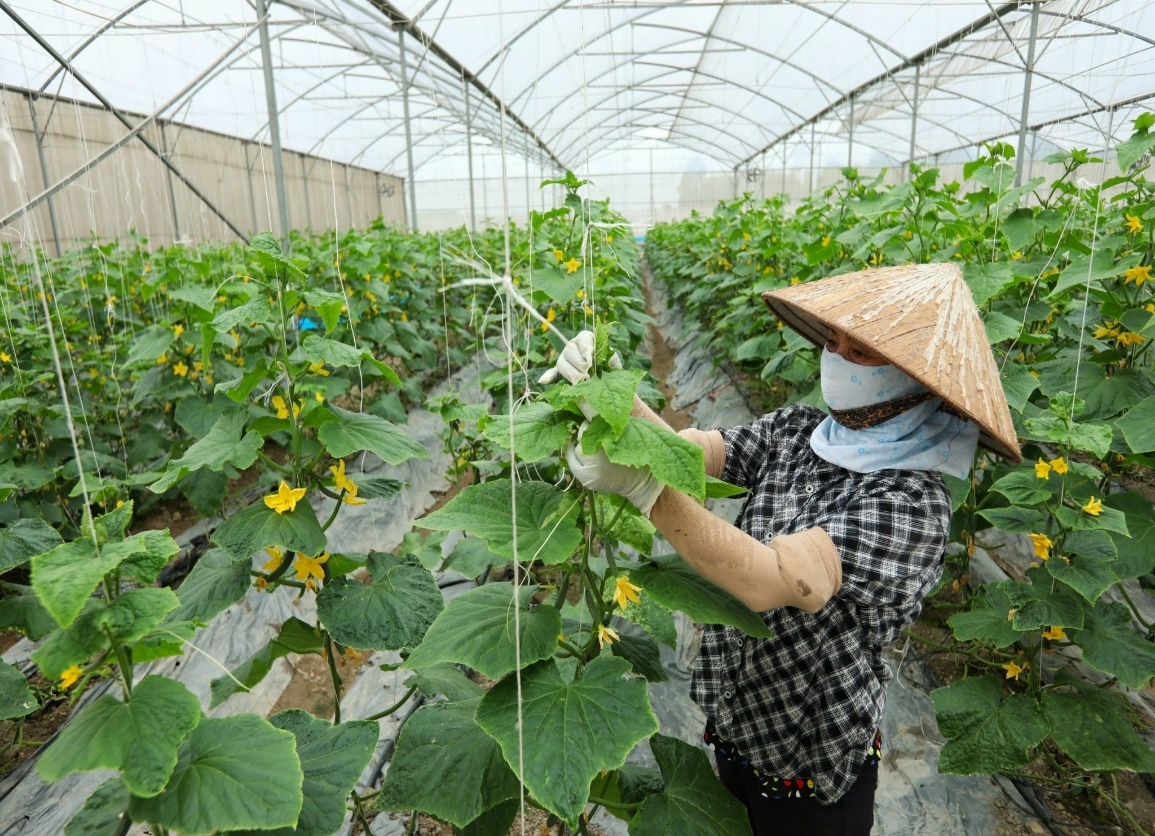 Bắc Giang lan tỏa xây dựng nông thôn mới kiểu mẫu