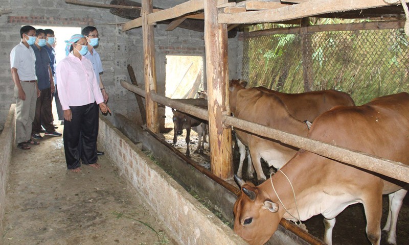 Chú trọng công tác dân vận: Giải pháp hữu hiệu trong triển khai dự án đầu tư