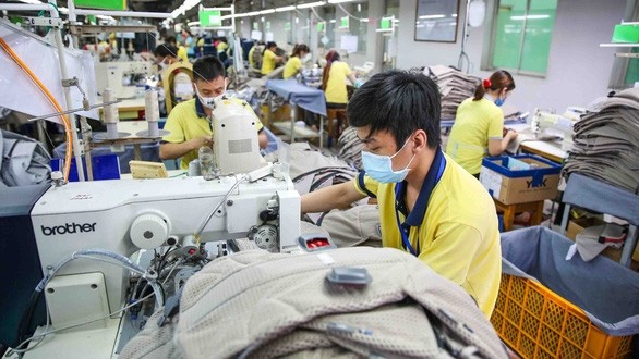 Hơn 1,2 triệu nghìn lao động đã được cơ quan BHXH xác nhận để hưởng hỗ trợ tiền thuê nhà