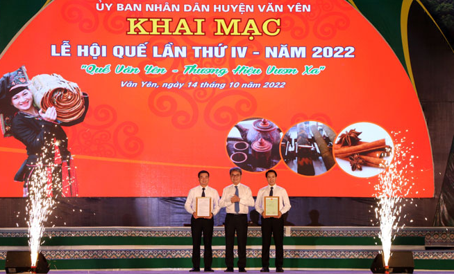 Yên Bái: Quế Văn Yên thương hiệu vươn xa