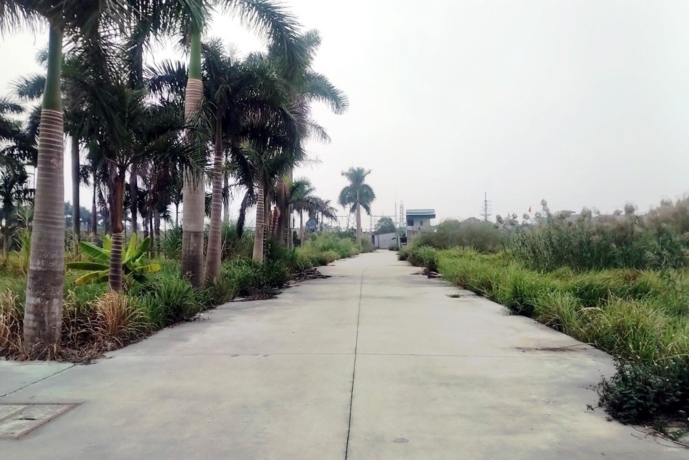 Hải Dương: Sớm xử lý dứt điểm diện tích đất của Hợp tác xã sản xuất gạch ngói Cờ Đỏ